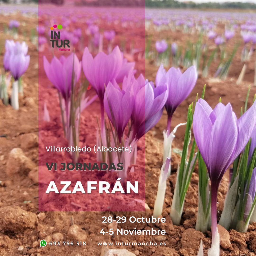 VI Jornadas del Azafrán en Villarrobledo