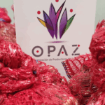 Bulbos de azafrán crocus sativus. 2 o más unidades saco de 0,5 kg (hasta 100 sacos) - Imagen 3